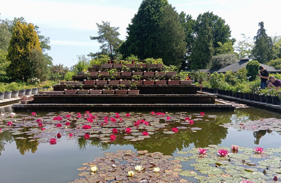 Botanical Garden UPJŠ, Slovakia